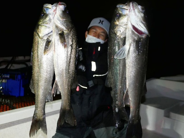 名古屋港　シーバス