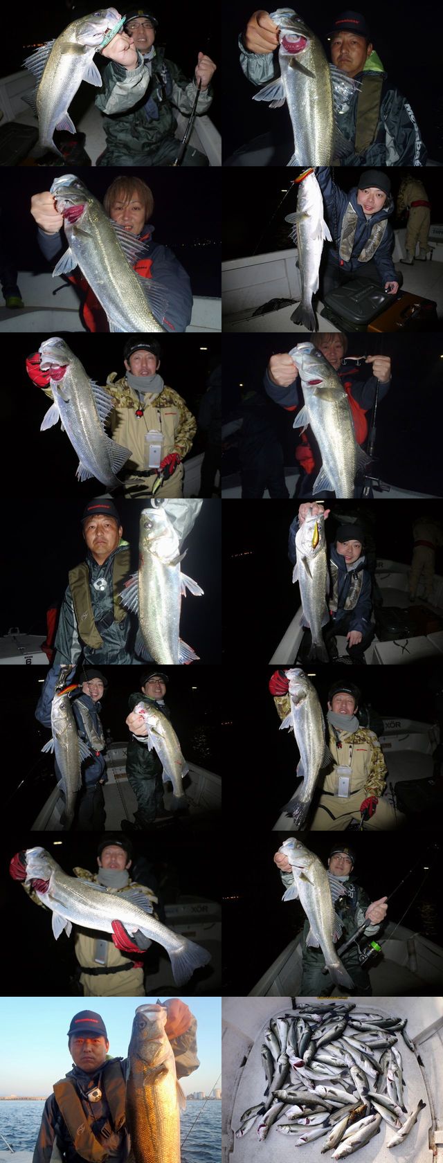 シーバス　釣果写真