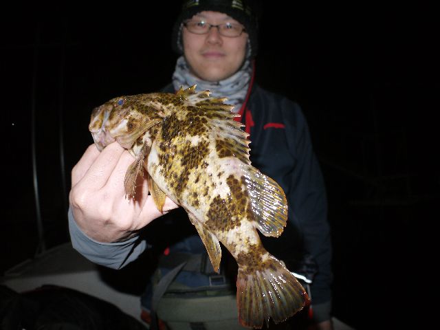 根魚　#1