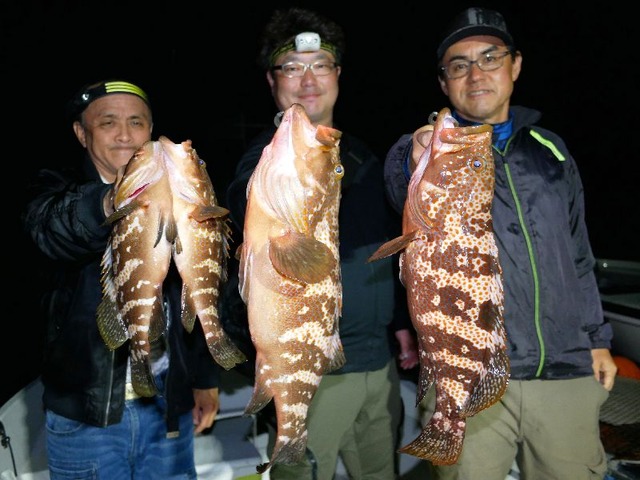 名古屋港キジハタ