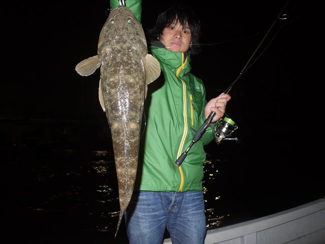 良型マゴチ