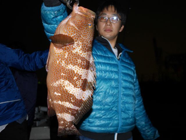 キジハタ 47㎝くらい