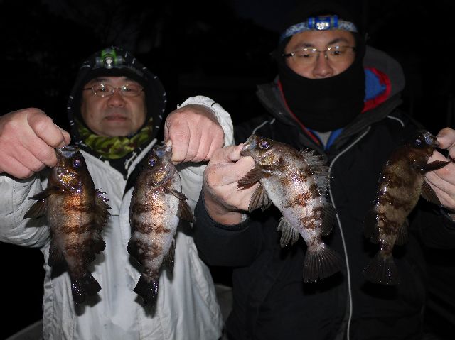 名古屋港　メバル＆根魚