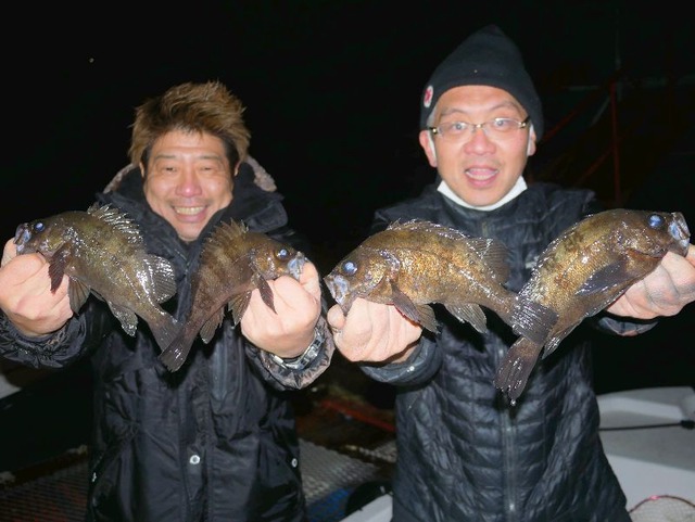 名古屋港メバル