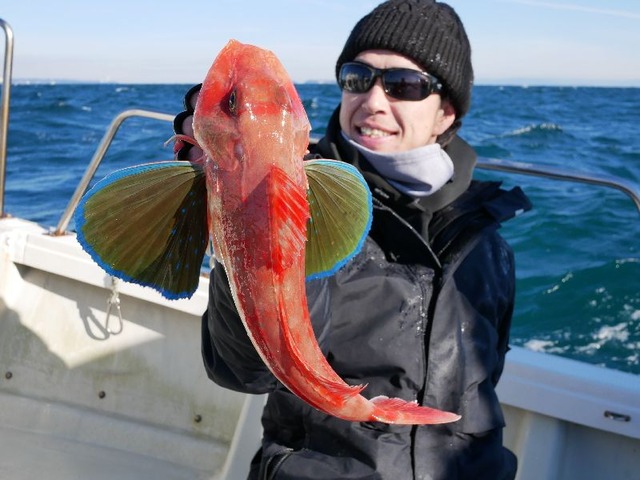 明徳くん ホウボウ