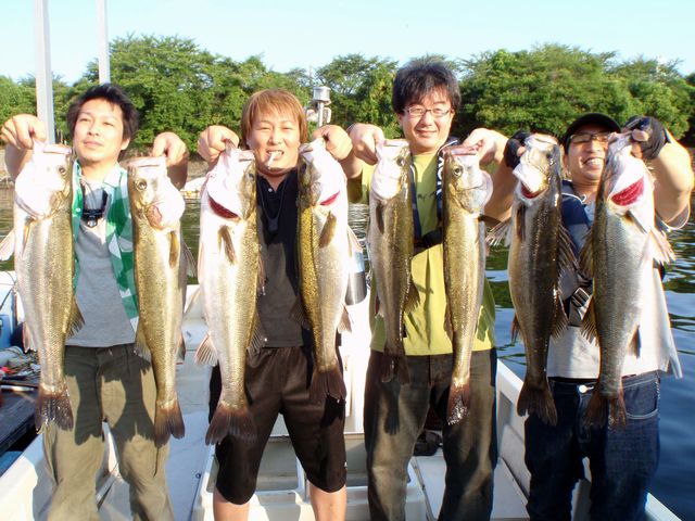 名古屋港　シーバス