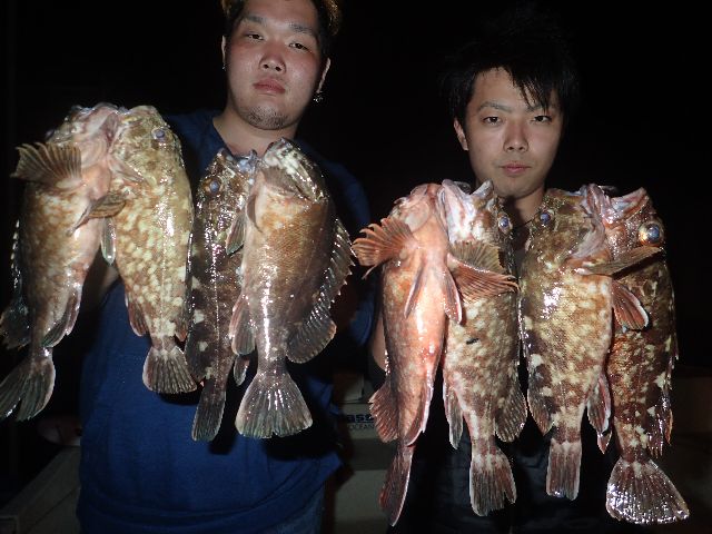 名古屋港　根魚