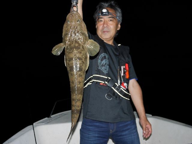 名古屋港　マゴチ