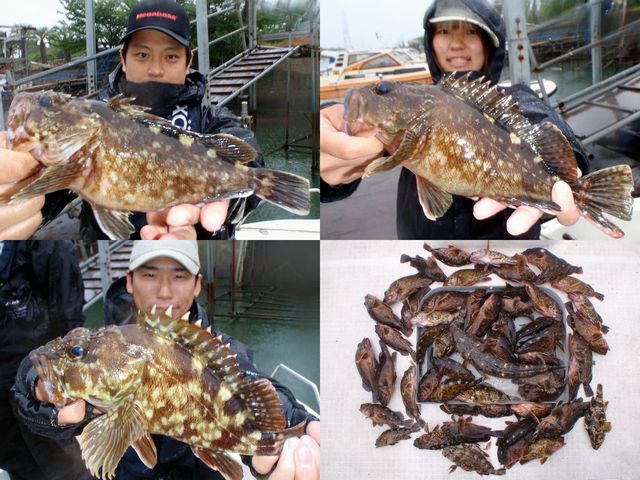 ロックフィッシュ　釣果写真
