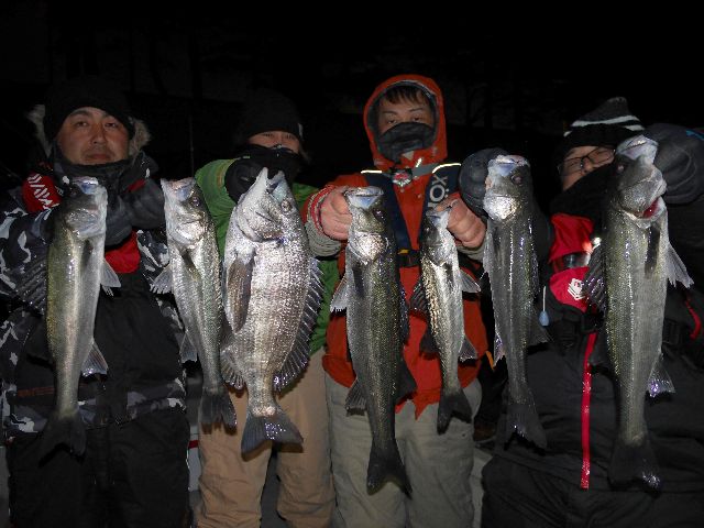 名古屋港　シーバス＆クロダイ