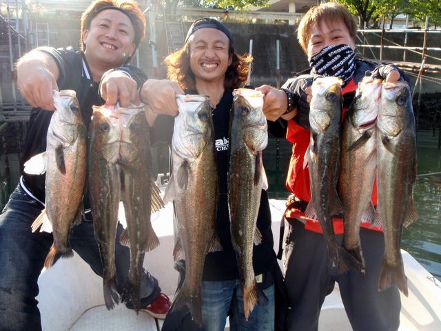 名古屋港 シーバス