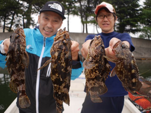 名古屋港　根魚