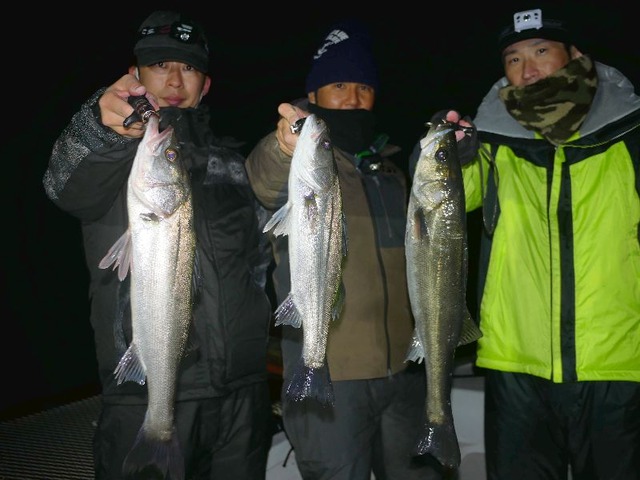 名古屋港シーバス