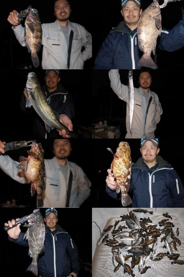 メバル シーバス 根魚 釣果写真