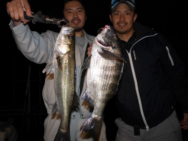 名古屋港 多魚種