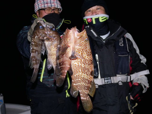 名古屋港　キジハタ　メバル　根魚
