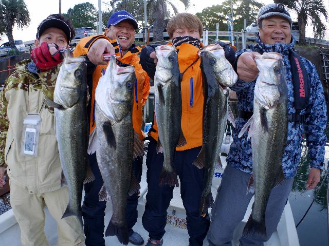 名古屋港　シーバス　タチウオ