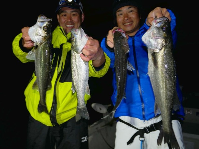 名古屋港　シーバス