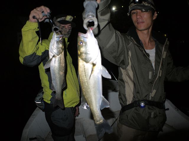 名古屋港　シーバス＆根魚