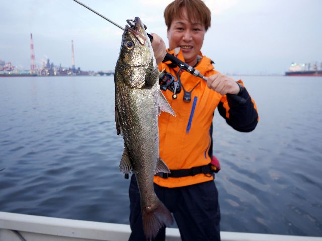 名古屋港　シーバス　#2