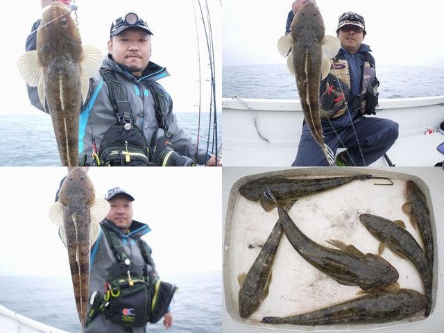 マゴチ　釣果写真