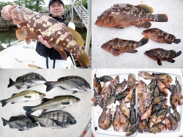 根魚&クロダイ&シーバス