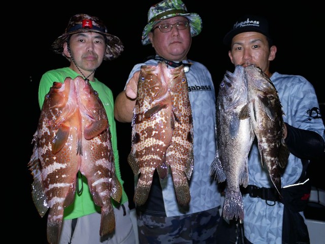 名古屋港 キジハタ