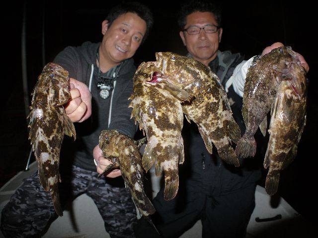 名古屋港　根魚
