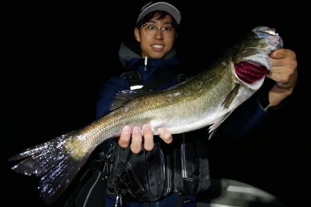 良型シーバス　#2