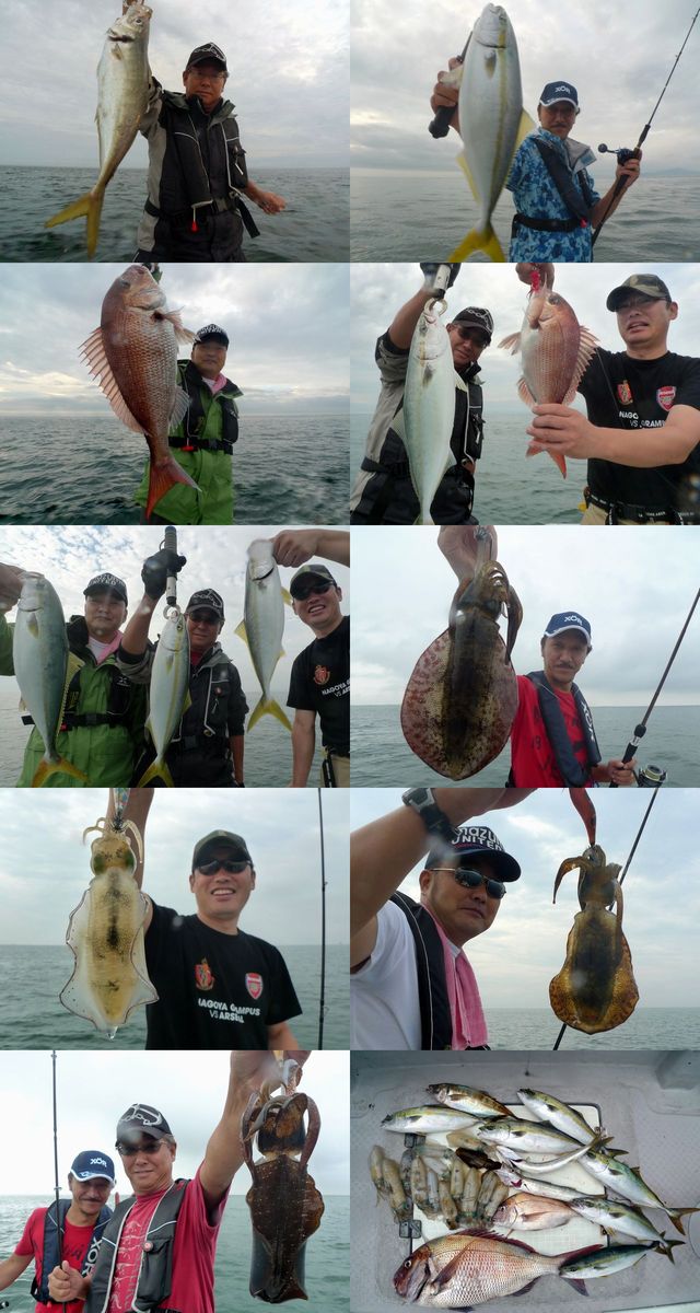 ハマチ マダイ アオリイカ 釣果