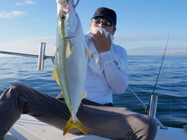 伊勢湾　キャスティング　ハマチ