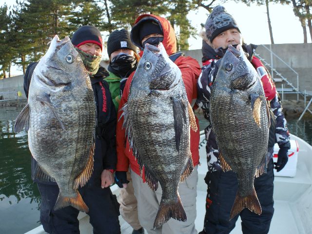名古屋港　クロダイ