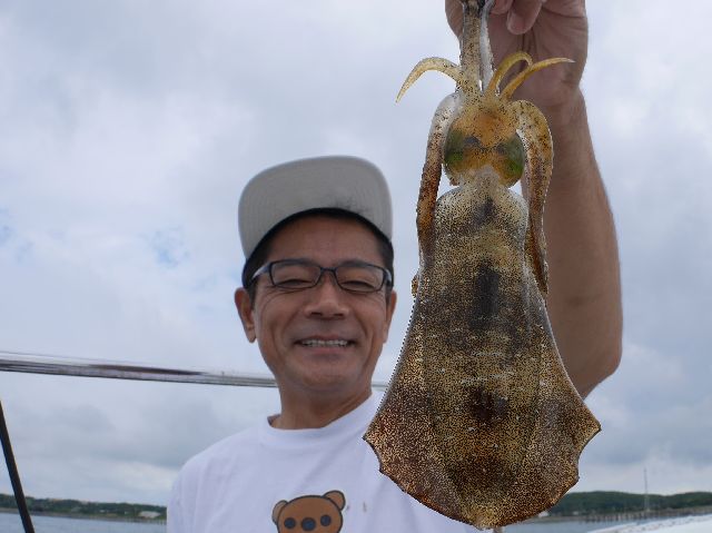 アオリイカ　#1