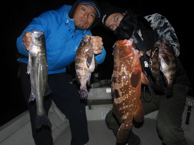 名古屋港　メバル　マゴチ　キジハタ　根魚　シーバス