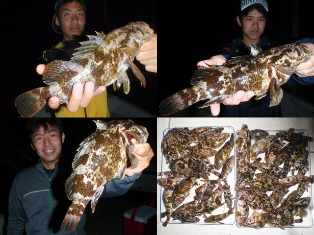 良型根魚　釣果写真
