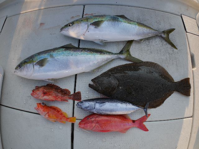 釣果写真