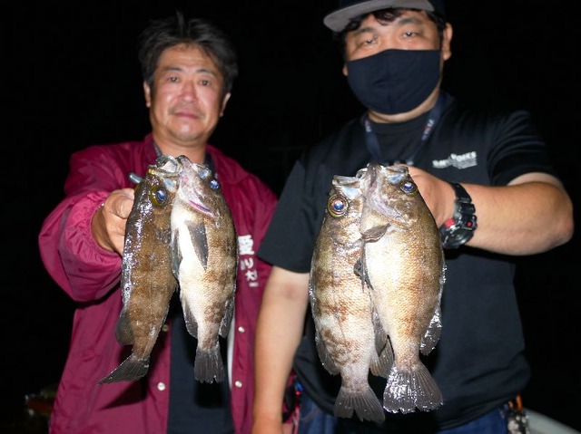 名古屋港 メバル