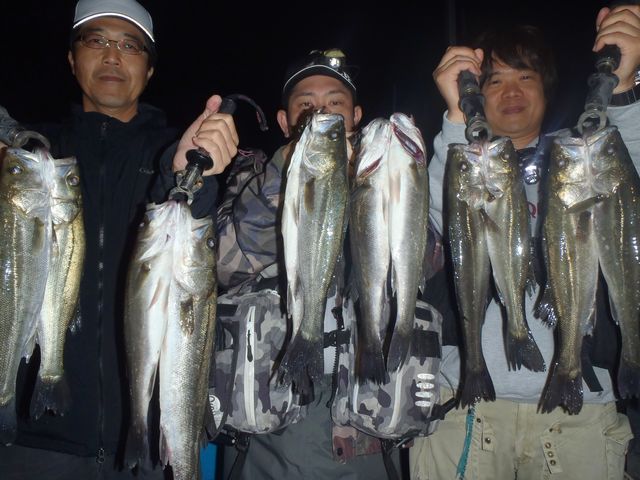 名古屋港　シーバス