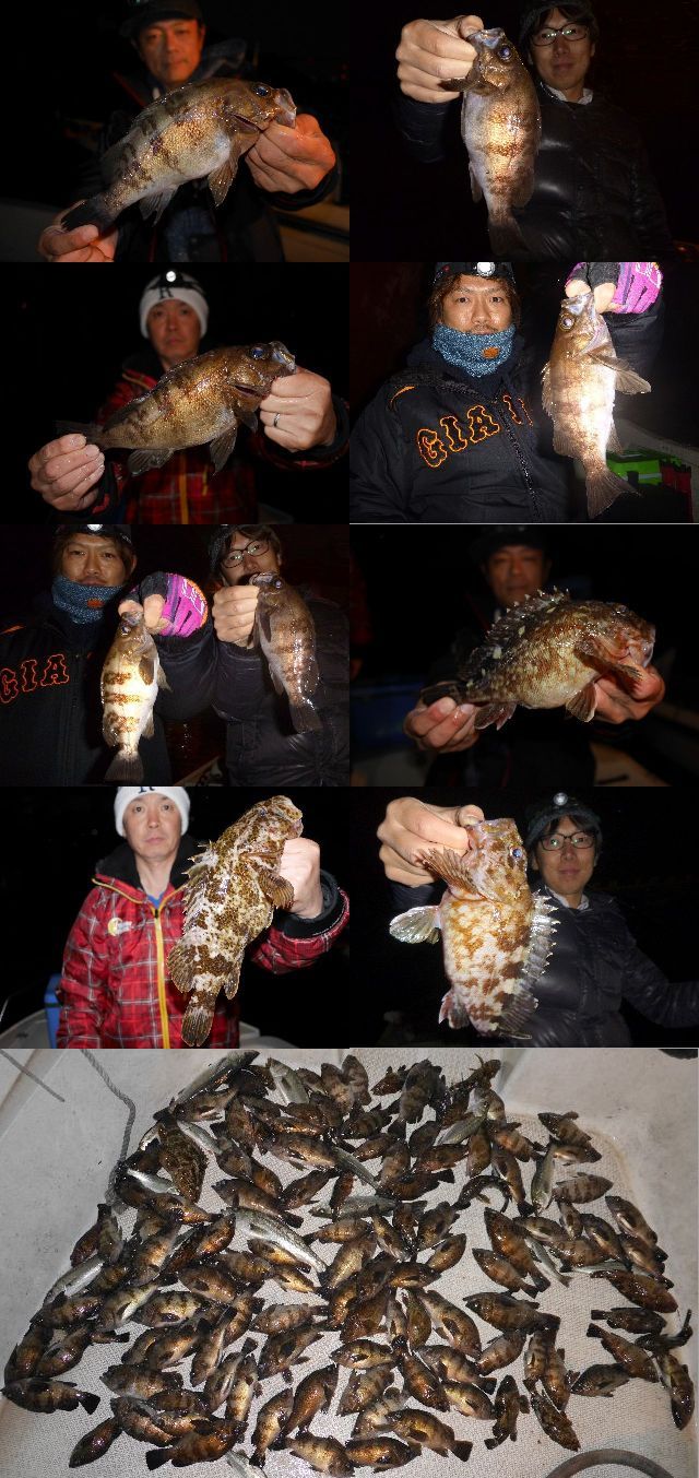 根魚 メバル 釣果写真