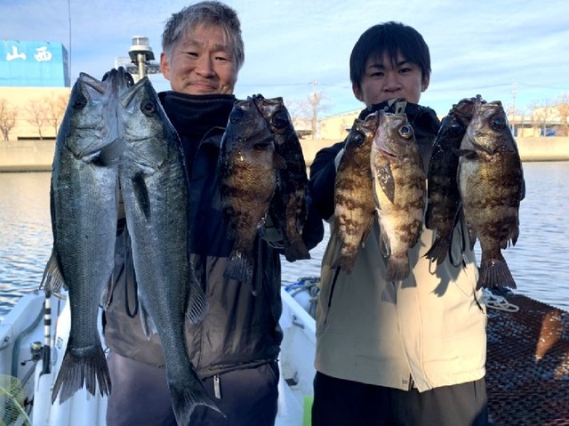 名古屋港　メバル　根魚　シーバス