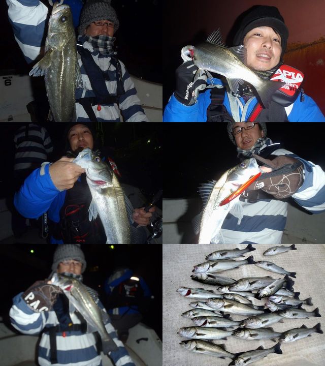 シーバス　釣果写真