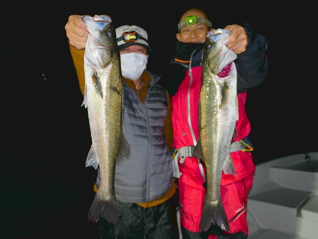 名古屋港シーバス