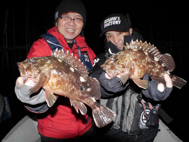 名古屋港　根魚