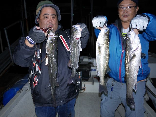 名古屋港　シーバス