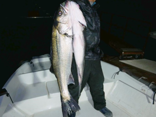 名古屋港シーバス