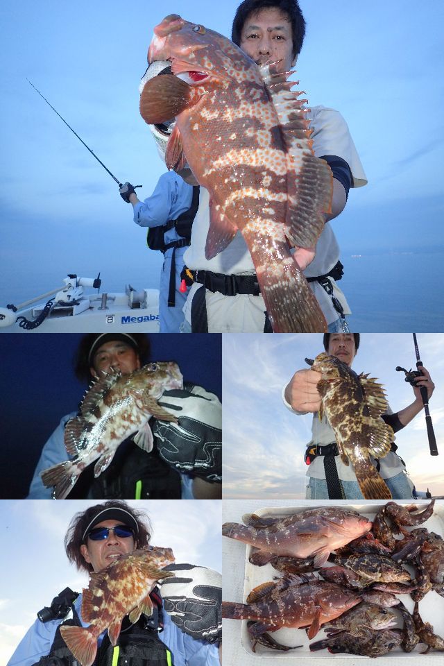 デカ キジハタ 釣果写真