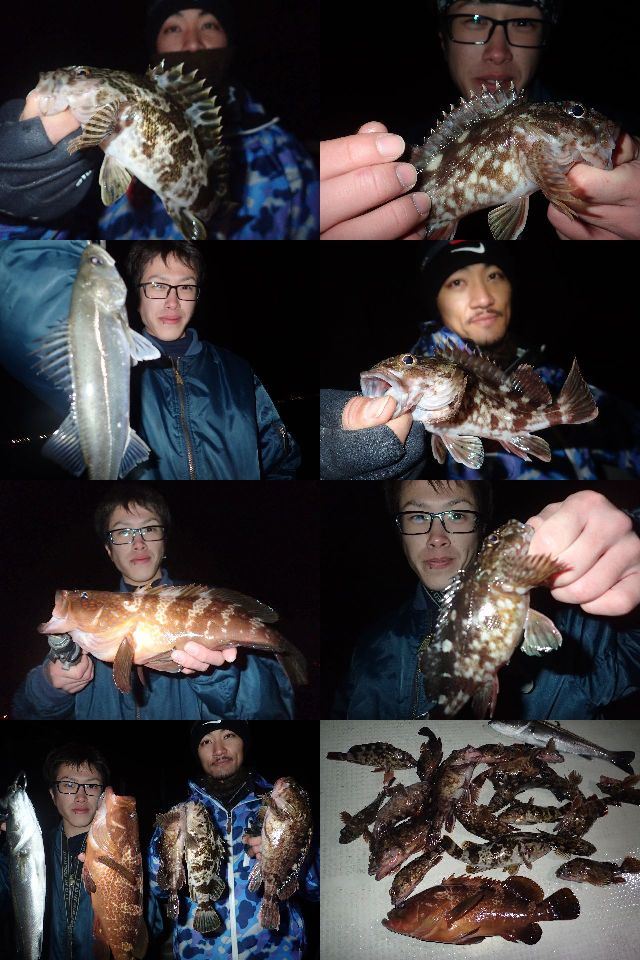 根魚　釣果写真