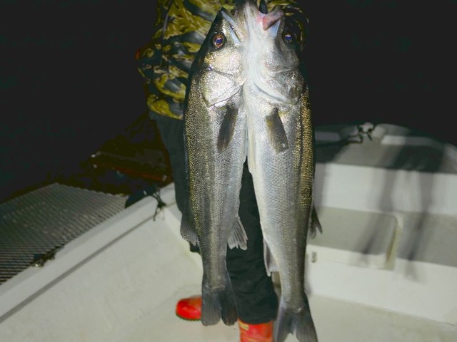 名古屋港シーバス