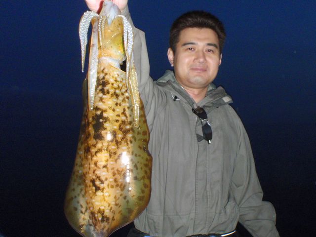 アオリイカ　ファーストヒット