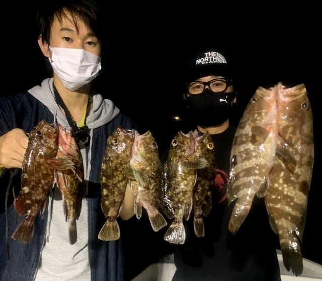名古屋港　キジハタ　根魚